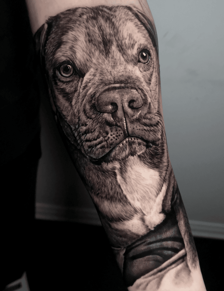 Dog Portrait